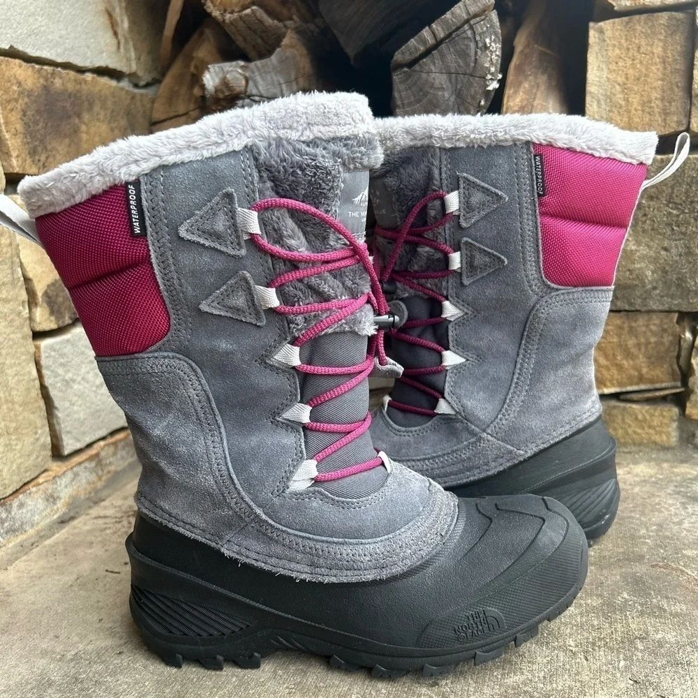The North Face north face
